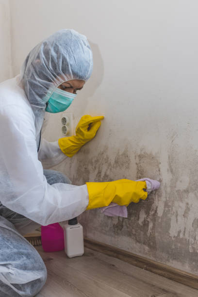 Best Indoor Air Quality Assessment  in Hines, OR