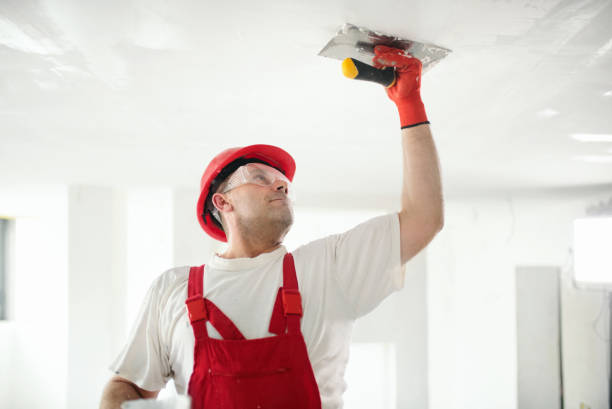 Hines, OR Mold Removal Company