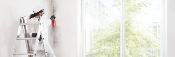 Best Biohazard Mold Removal  in Hines, OR